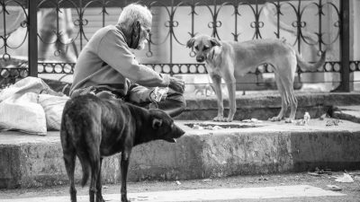 monochrome photo of an elderly man feeding stray dogs