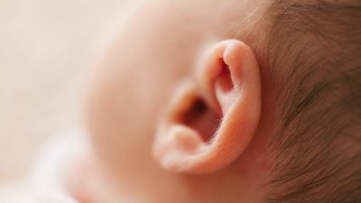 macro photography of babys ear